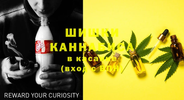 эйфоретик Белокуриха