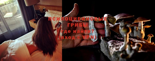 дмт Лиски
