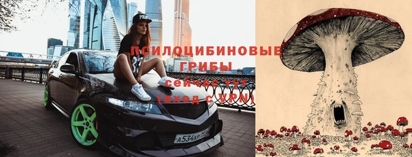прущий лед Липки