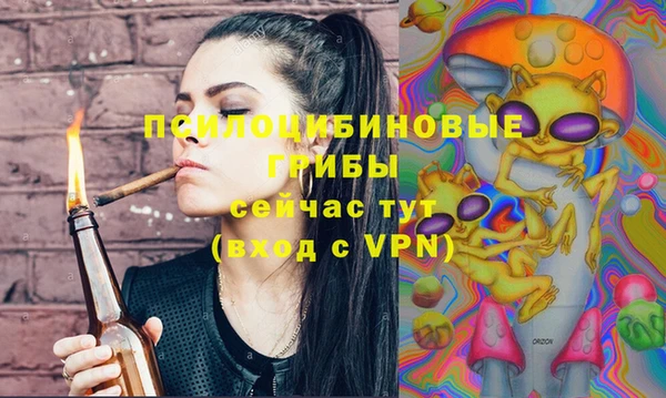тгк Беломорск