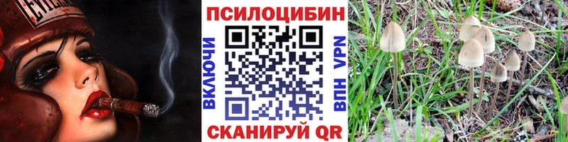 Галлюциногенные грибы Psilocybe  купить закладку  Бугульма 